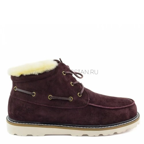 UGG Men's Ailen Сhocolate 